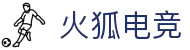火狐电竞 - 助你从观赛到懂赛的进阶指南